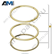 Комплект поршневых колец VAG 06M198151B