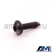 Саморез с внутренним torx для автомобилей концерна VAG N10684701