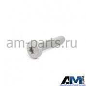 Полукругл. болт с внутр. torx для автомобилей концерна VAG N91068001