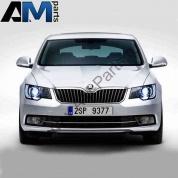 Решетка для Skoda Superb 3T0853668B9B9