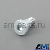 Болт с внутренним torx для автомобилей концерна VAG N98924301