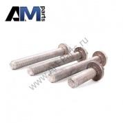 Комплект болтов ГБЦ 11120392547 на BMW (F25) 28iX N52N