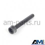 Болт с внутренним torx для автомобилей концерна VAG N91118902