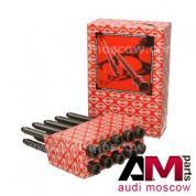 Комплект болтов ГБЦ Ауди А6 (C6) 325.040 (TRW)