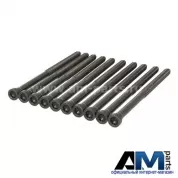 Болты ГБЦ для Tiguan II (2016-2020) 2.0TDI WHT005673