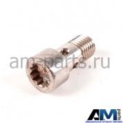 Пустотелый болт для автомобилей концерна VAG WHT000223