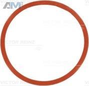 Прокладка впускного коллектора (VICTOR REINZ) 717754600 для BMW X6 (E71) 2007-2014 30dX M57N2