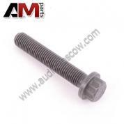 Болт шатунный Audi A4 (B7) 1.9D AWX/AVF/BKE/AVB 045105425