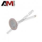 Впускной клапан TRW для Audi A6 C7 331116