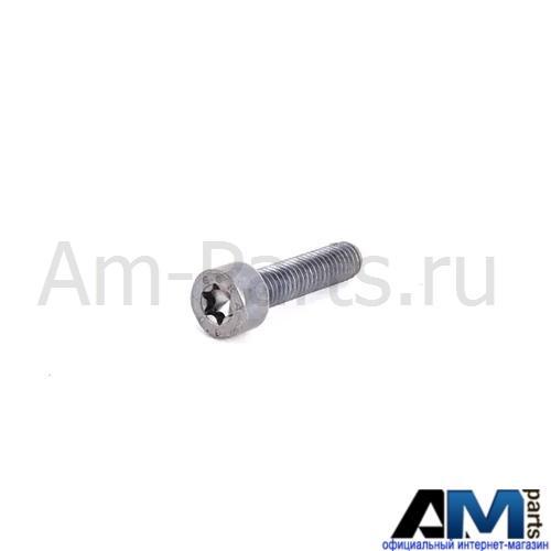 Болт с внутренним torx для автомобилей концерна VAG N10456201