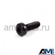 Полукругл. болт с внутр. torx для автомобилей концерна VAG N10430103