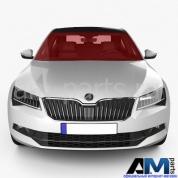 Ветровое стекло на Skoda 3V0845011ADNVB