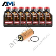 Комплект для промежуточного ТО БМВ 3 серии M3 с маслом Motul S58 2018-2025