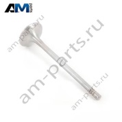 Впускной клапан 11348473702 BMW X3 G01