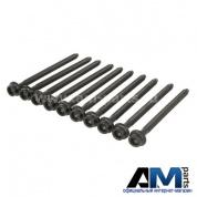 Болт ГБЦ Skoda Octavia A7 1.4 TSI CHPA WHT004926