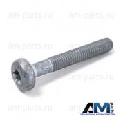 Болт с внутренним torx для автомобилей концерна VAG WHT002015