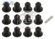 Маслосъемные колпачки (FEBI) 32621 для BMW X3 (F25) 2011-2017 28iX N52N