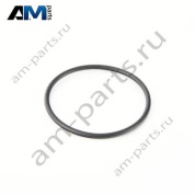 Прокладка топливного насоса BMW X6 (G06) 2019-2025 30d (B57) 13517804377