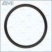 Уплотнительное кольцо термостата AJUSA (16054000) Volkswagen B6 (2005-2011) 1.6BSE (102л.с.)