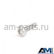 Саморез для автомобилей концерна VAG N10611201