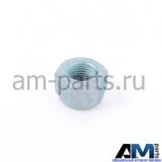 Гайка шестигранная самоконтрящаяся для автомобилей концерна VAG N10304102