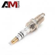 Свеча зажигания Ауди А6 (C6) 101905631A