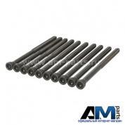 Болт ГБЦ Фольксваген Тигуан 2016-2020 2.0TDI (150 л.с.) WHT005673