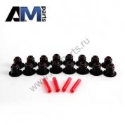 Маслосъемные колпачки (рем.комплект) 11340029751 на BMW E83 2.0i