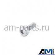 Винт M6x18 с внутренним torx для автомобилей концерна VAG N10196103