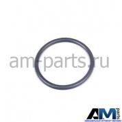 Уплотнительное кольцо на Audi WHT001688