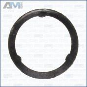 Прокладка выпускной коллектор (AJUSA) 13238300 для BMW 1 серия (F21) 2011-2015 M135i