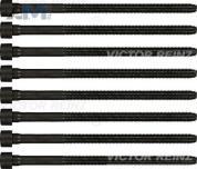 Комплект болтов головки блока VICTOR REINZ (143219801) на Audi A6 (С6) 2004-2011 2.4 (177 л.с.)