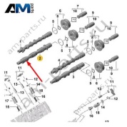 Выпускной распредвал 1-3 цилиндр Porsche Cayenne (2017-2024) PAC109102