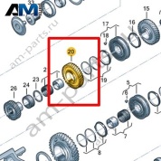 Шестерня VAG 0CK311260G