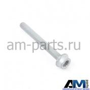 Болт с внутренним шестигранником для автомобилей концерна VAG N10666401