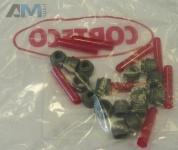 Маслосъемные колпачки CORTECO (19026849) для Volkswagen CC (2008-2018) 2.0TDI