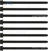 Комплект болтов головки блока VICTOR REINZ (143238201) на Audi A6 (C8) 2018-2025 3.0TFSI