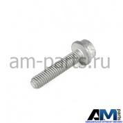 Болт с внутренним torx для автомобилей концерна VAG N91065201