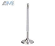 Впускной клапан (102) 022109601AM  Volkswagen Touareg II (2014-2018) 3.6FSI