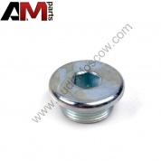 Пробка резьбовая для автомобилей концерна VAG 028103059A