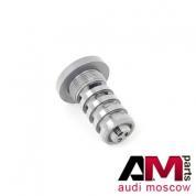 Управляющий клапан INA (427001610) для Audi Q3 (8U) 2011-2018 2.0TFSI