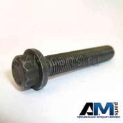 Оригинальный болт шатунный Ауди Q5 2.0TDI (136 л.с.) 045105425