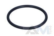 Уплотнительное кольцо для автомобилей концерна VAG 059121665
