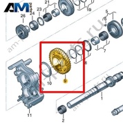 Шестерня VAG 0HL311250A