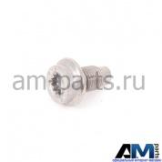Болт с внутренним torx для автомобилей концерна VAG N98926001