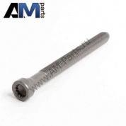 Болт головки блока цилиндров на Tiguan 2.0 TDI WHT002131