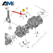 Верхние коренные вкладыши Porsche Cayenne (2017-2024) 9A710556100