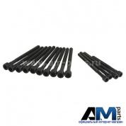 Комплект болтов ГБЦ ELRING для BMW E83 3.0si 270.190