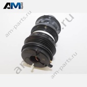 Амортизационный цилиндр Audi e-tron GT 2021-2024 9J1616025D