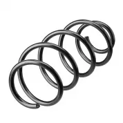 Пружина подвески передняя для Volkswagen Polo 6R0411105C